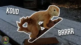 DIEREN in de WINTER!