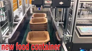 Affordable Full Servo Drive Paper Lunch Box Machine - Single Die Paper Food Tray Maker