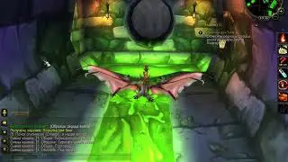 World of Warcraft  (Zinge's Delivery, Посылка для Зинг )