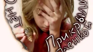 Если Улитки Прикрылись плёнкой, что нужно сделать? О нет