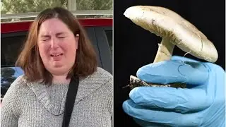 This Country Uses Fungus as a Medicine