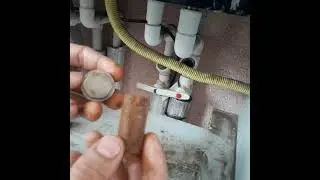 PETEKLER NEDEN YARIYA KADAR SICAK AŞAĞISI SOĞUK ÇÖZÜMÜ ?
