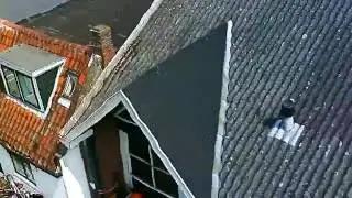 Glorieuze eerste drone vlucht