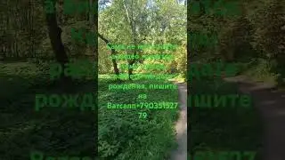 узнайте ваши счастливые цифры по дате рождения #цифроваяпсихология