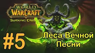 #5 Выжженная роща -  Леса Вечной Песни [WoW: Burning Crusade]