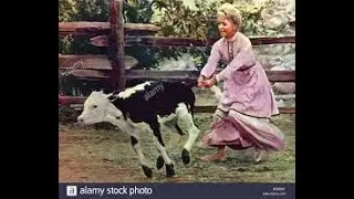 Second Time Around  1961  Debbie Reynolds, Steve Forrest, Thelma Ritter