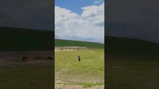 Тоң-Мурун ашуусу, Алай.