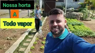 nossa horta produzindo!! #sustentabilidade #horta @Samuelaventurando