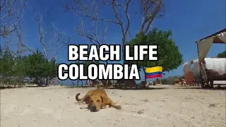 Beach Life | Colombia 🇨🇴
