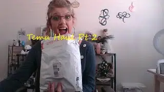 Temu Haul Pt2