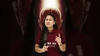 Do you know about the Cell's Brain? Watch the video for more information!! 