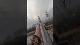 20 Gauge Teal