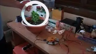 How Nikola Tesla TURN ON Lamps On the Ground!!!