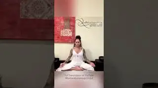 To sink in and fully absorb these divine energies, join me for the full transmission in my videos.