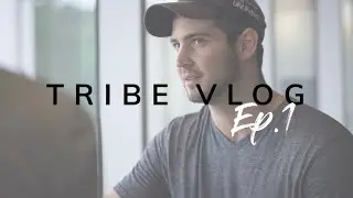 WHAT IS TRIBE-10K? Accountability & Mentorship program