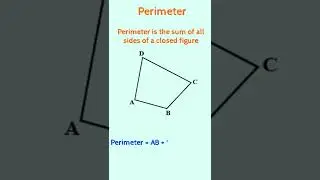 Perimeter