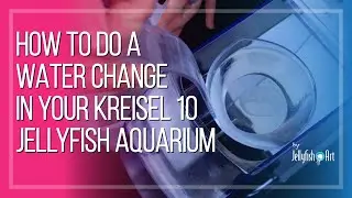 How to Perform a Water Change in Your Kreisel 10/15 Jellyfish Aquarium | Jellyfish Art