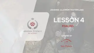 Johanna Ullstrom's 2nd Masterclass - LESSON 4 -  Foaling