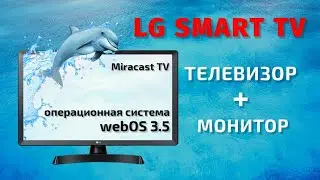 Smart TV LG 24TN510S-PZ