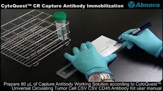 CytoQuest™ CR Capture Antibody Immobilization