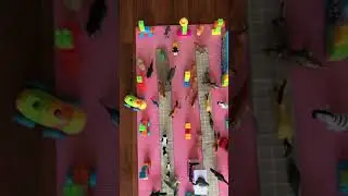 Animals In City