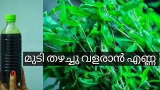 മുടി തഴച്ചു വളരാൻ എണ്ണ കാച്ചുന്ന വിധം/Herbal hair oil malayalam/Herbal hair oil for hair growth