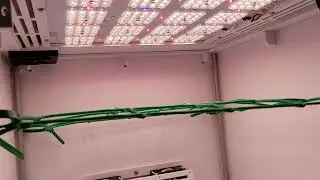 #Shorts Гроубокс 