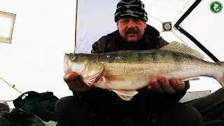СУДАК ПРОСТО НЕ ДАВАЛ ПОКОЯ! ЛЕСКА ЗВЕНИТ, ДУША ПОЁТ, А КЛЁВ ИДЁТ! РЫБАЛКА С НОЧЕВКОЙ НА ТОБОЛЕ 2022