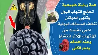 أسرارعلاج التهاب المسالك البولية تنظف المجاري البولية تعالج التهاب البول تدعم المثانةتمنع تدميرالكلى