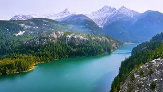 Звуки природы, пение птиц, Звуки Леса, для релаксации, сна, Медитации 3 часов