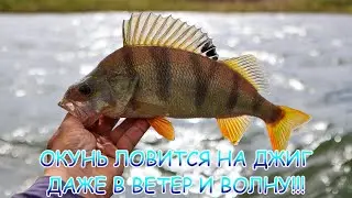 ОКУНЬ ловится на ДЖИГ даже в ветер и волну!!! Джиг с лодки!