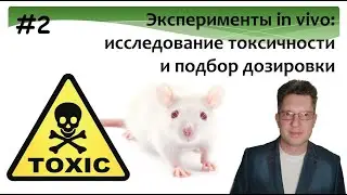 Лабораторные животные. Исследование токсичности.