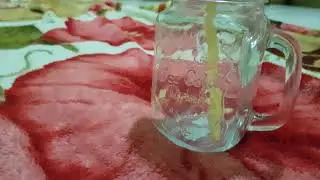 مشترياتي