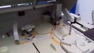 video 1487884054