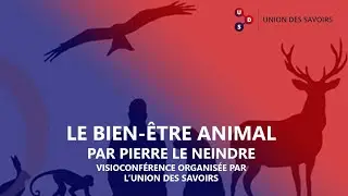 Le bien-être animal - visioconférence grand public