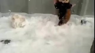 ммитпп
