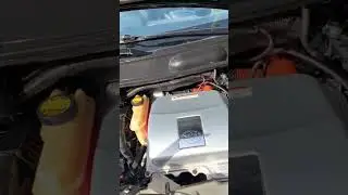 Моем