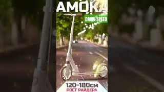 Самокат двухколесный Danki Speed