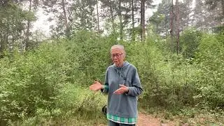 Второе дыхание