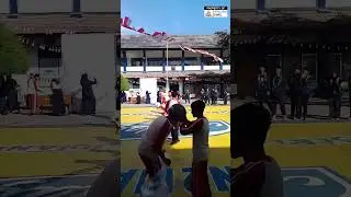 🔴POV : BALAP KARUNG LUCU & GOKIL || POV 17 AGUSTUS 2024