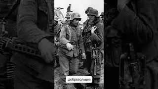 34-я добровольческая пехотная дивизия СС Ландсторм Недерланд  #германия #история #война #cc