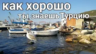 Are these MYTHS about Turkey TRUE?/Popular misconceptions about Turks.