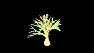 Growing Tree test