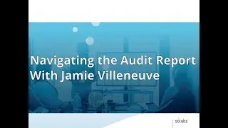 Navigating the P0044 Audit Report