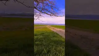 Adır Adası’na giden tüm yollar güzeldir