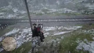 Red dead online