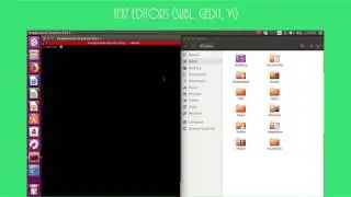 What is a Terminal - Basic bash commands you should know