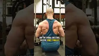 Seated Cable Rows Are Amazing!