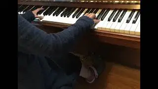 Autumn Leaves arranged by Rupert Austin  29 Oct 2023