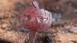 Forging a Pumpkin hook - Blacksmithing for beginners